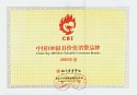 中國(guó)100最具價(jià)值消費(fèi)品牌